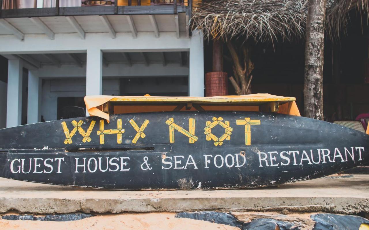 Why Not Guest House Hikkaduwa Exterior foto