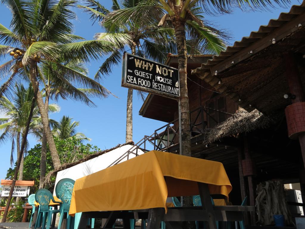 Why Not Guest House Hikkaduwa Exterior foto