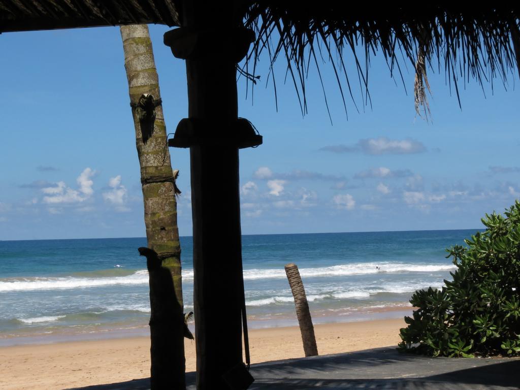 Why Not Guest House Hikkaduwa Exterior foto